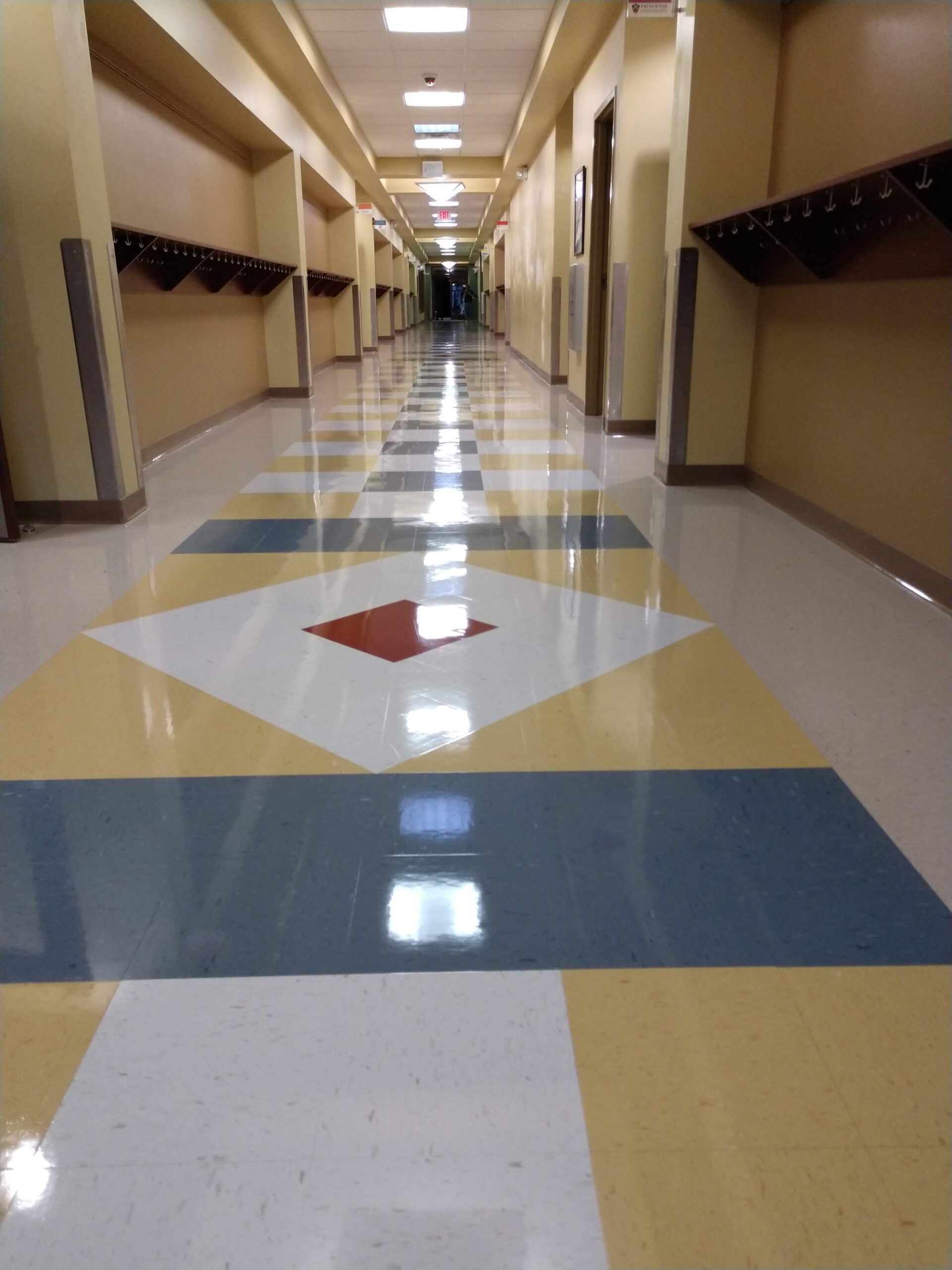 Transform your hard floors with our professional cleaning and restoration service in the Chicagoland area - get a stunning, new floor look today